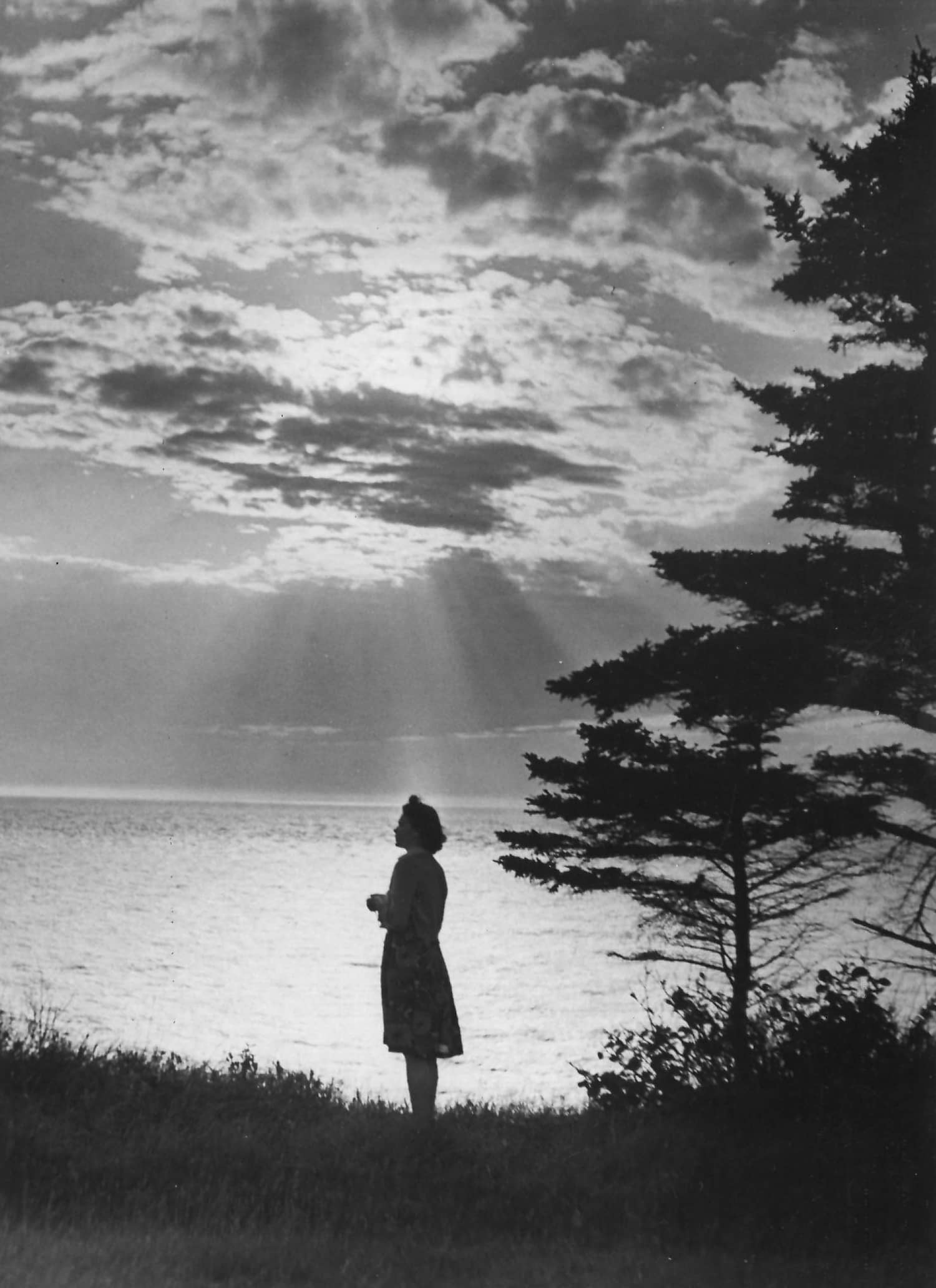 Wide shot of Thelma Pepper, silhouette with beautiful sky and lake in background.
